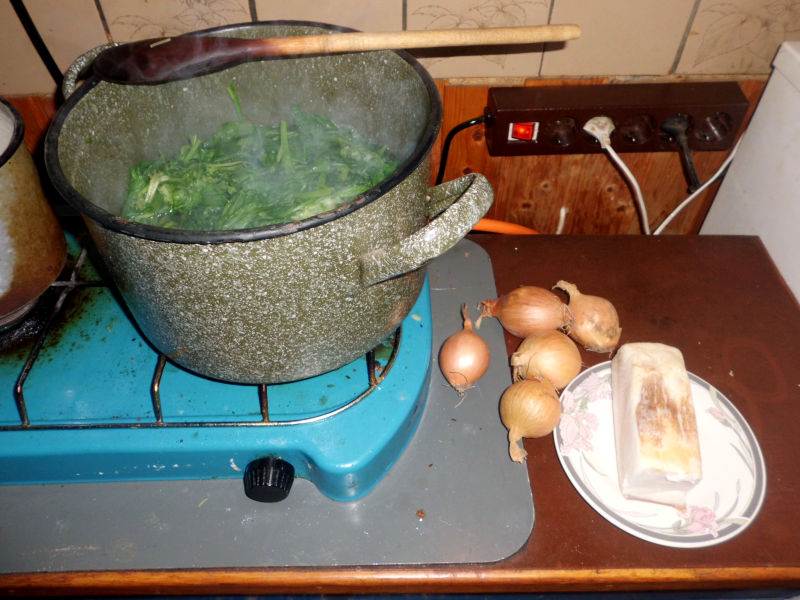 Spinat wie aus Großmutters Zeiten › Garten Kochbuch